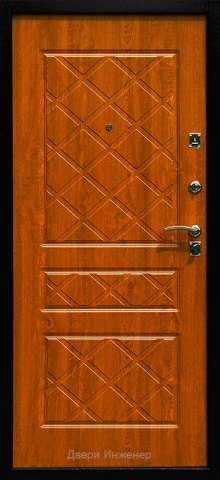 Порошковая дверь DR459